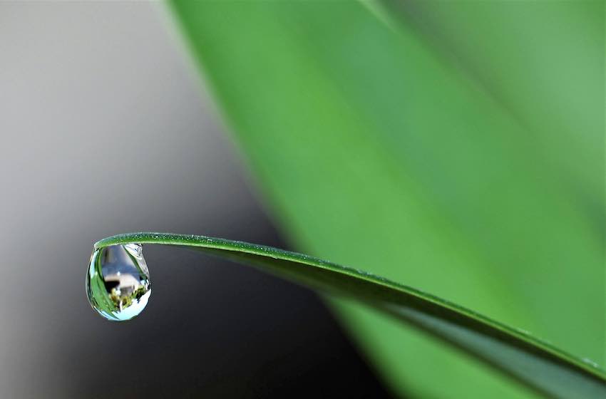 fotografare quando piove goccia