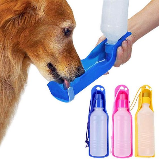 borraccia per cani