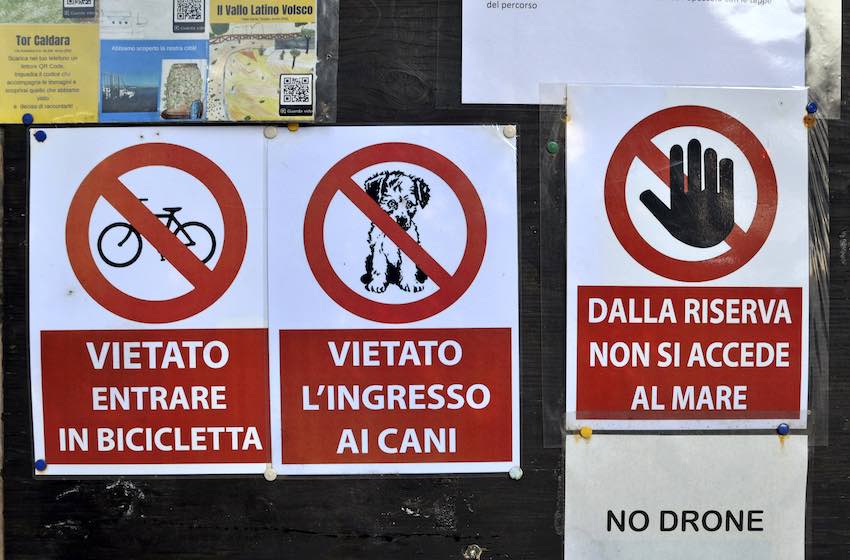 escursioni con i cani