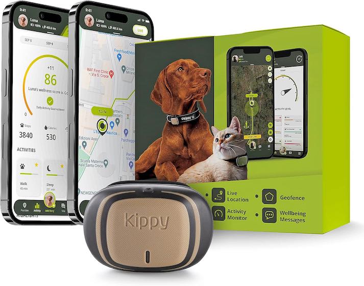 gps per cani