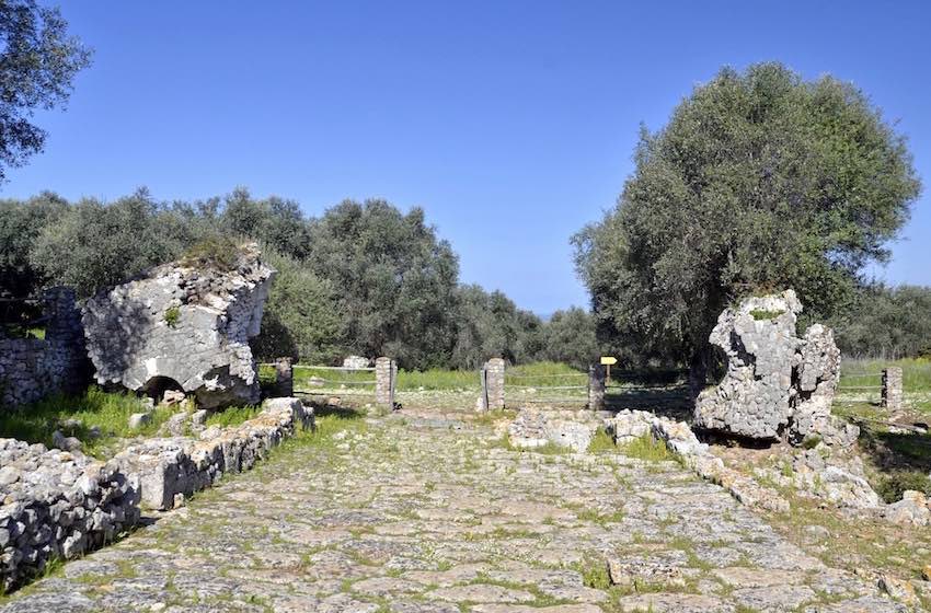 maremma feniglia