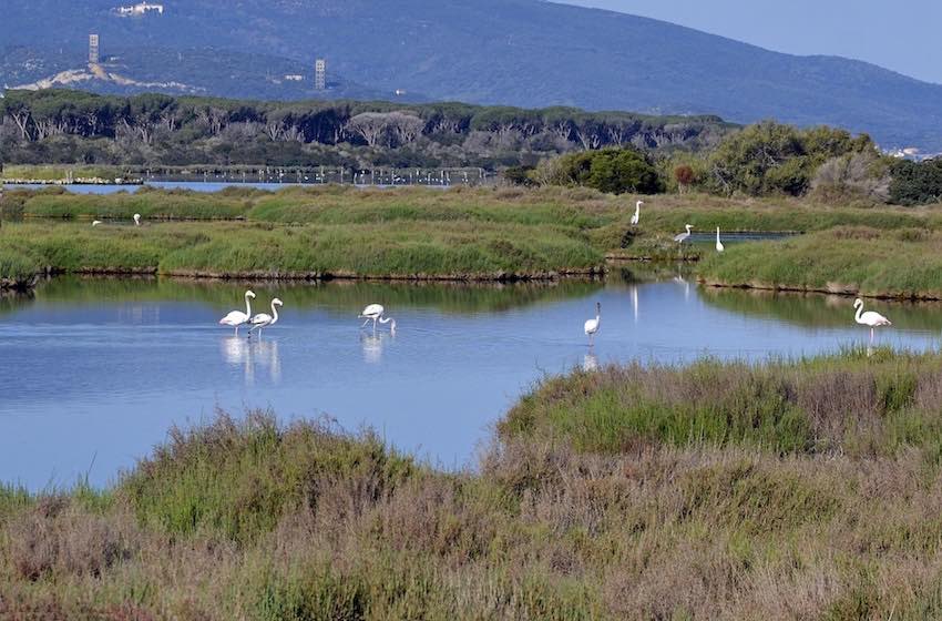  Maremma toscana, a spasso per le meraviglie della Feniglia