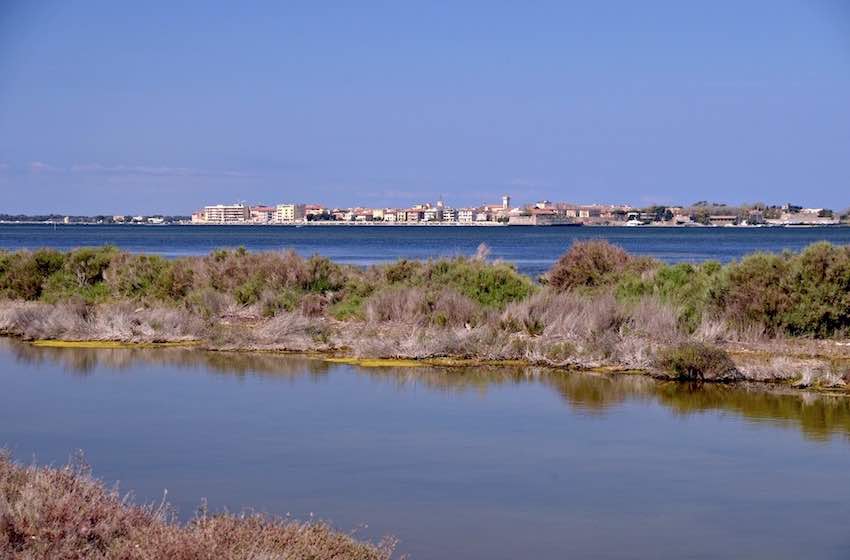 maremma feniglia