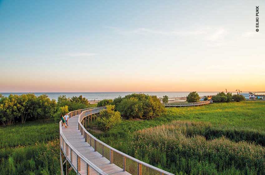 Estonia-Parnu-Rannaniidu matkarada-passerella-riserva costiera-Ph. Eiliki Pukk