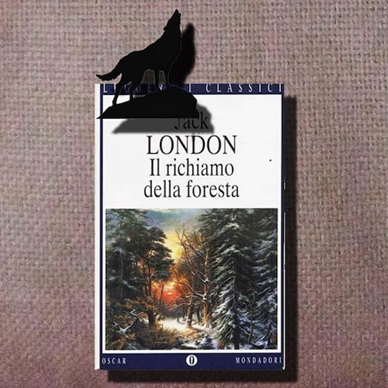libri grande nord