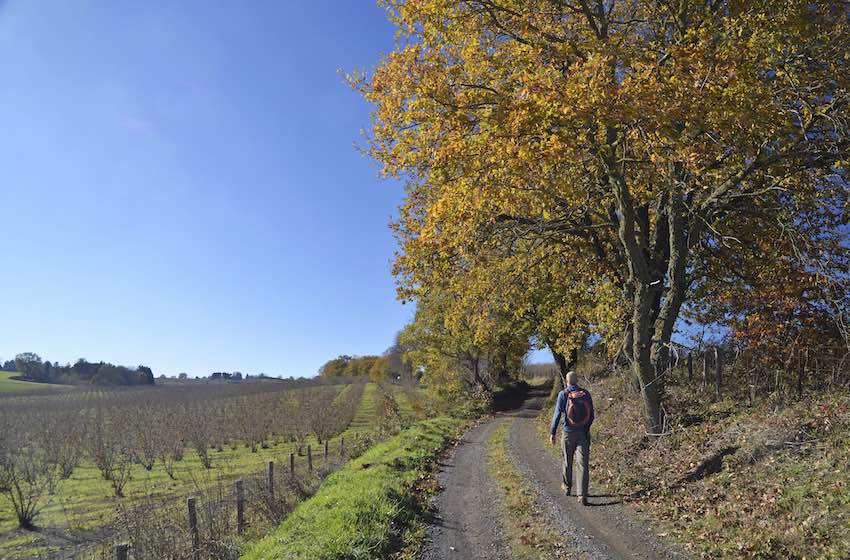 outdoor autunno orvieto bolsena