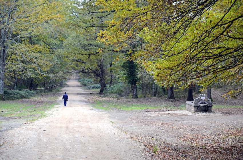 outdoor autunno macchia di Manziana
