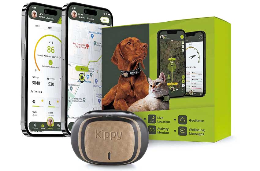 kippy evo