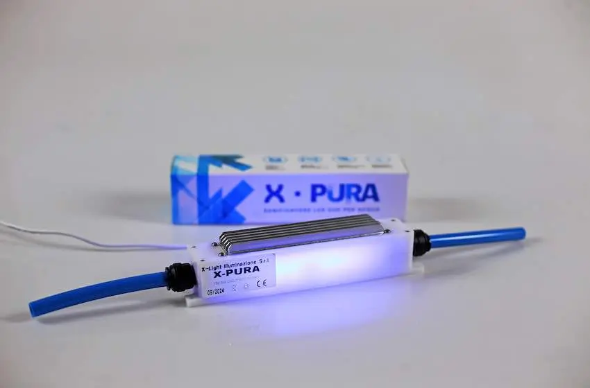 x-pura plus