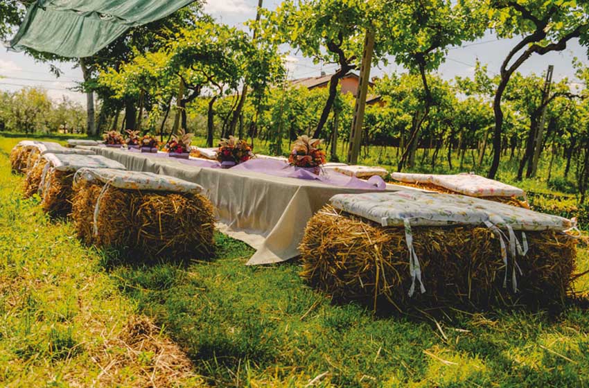 Enoturismo-Balle di fieno tra le vigne