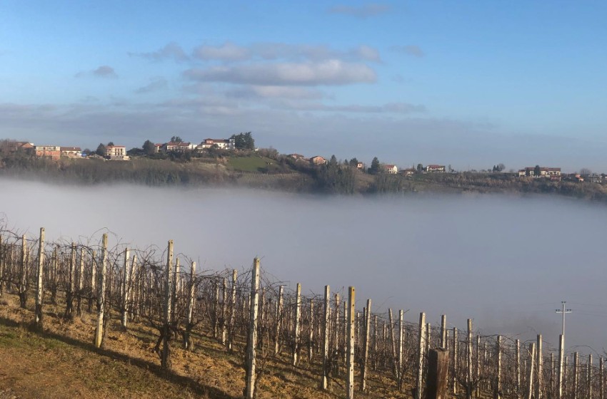 Piemonte-Monferrato-Ricaldone-colline e nebbia
