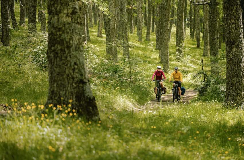 bici nel bosco