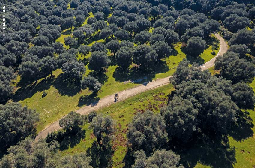 In bici lungo gli sterrati del Parco della Maremma