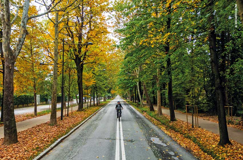 Cuneo, Viale degli Angeli