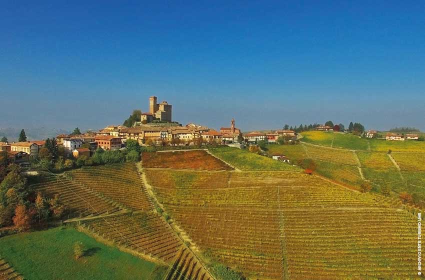 Paesaggio vitato intorno a Serralunga d'Alba (CN)