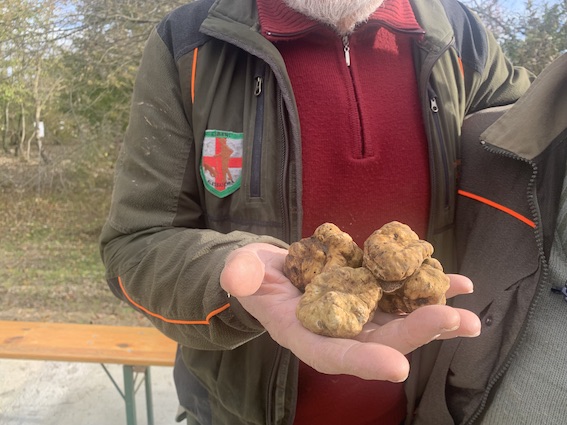 Piemonte-Monferrato-Alessandria-tartufo