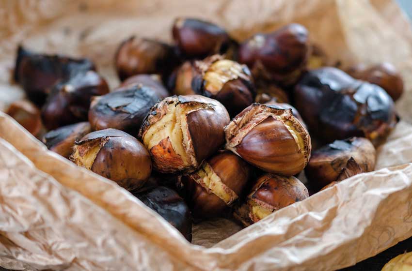Castagne