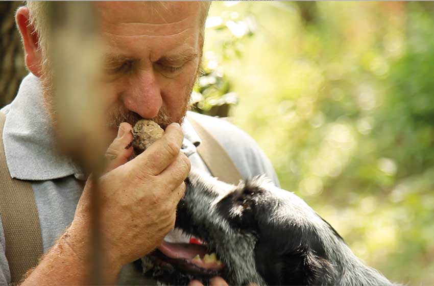 Marche-Acqualagna-Fiera del Tartufo Bianco-Uomo con tartufo