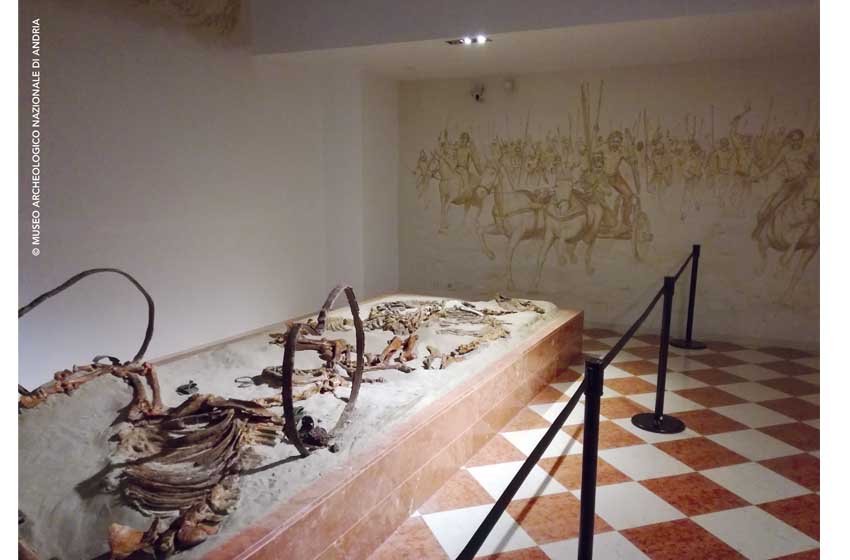 Museo Archeologico di Adria, la Tomba della Biga