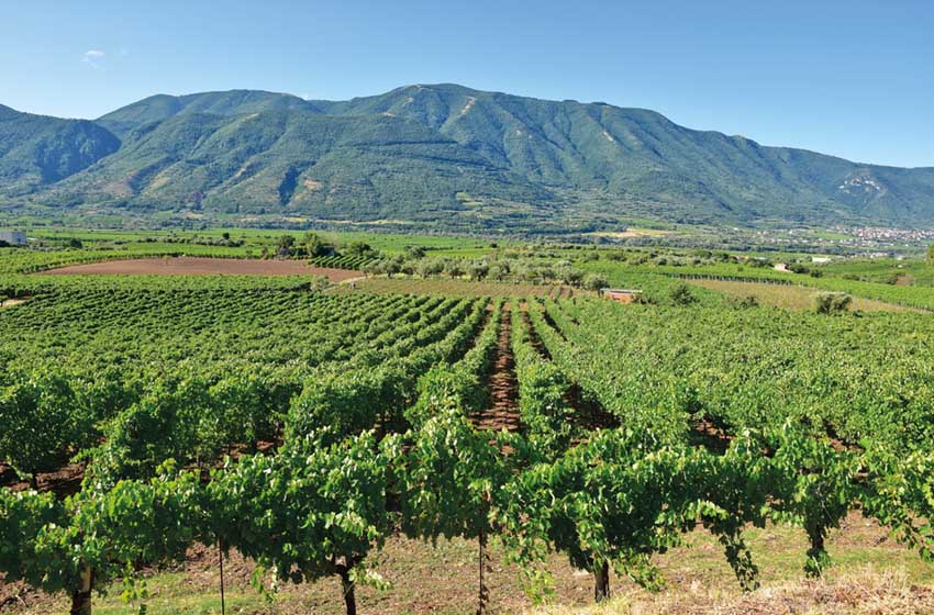 Le campagne di Guardia Sanframondi