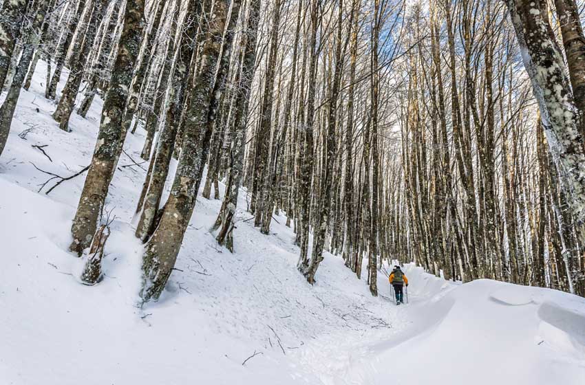 Escursione nel paesaggio innevato del Parco Nazionale delle Foreste Casentinesi a Campigna (Emilia Romagna)