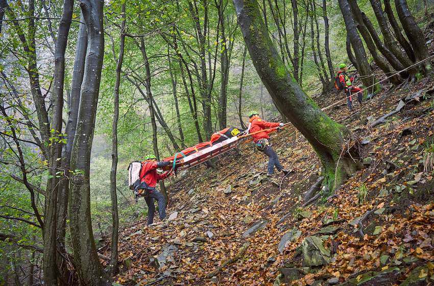 frutti autunno