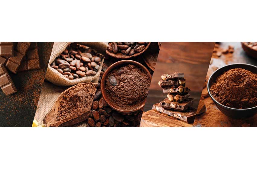 Svizzera-cioccolata-cacao in  polvere-AdobeStock_683044727