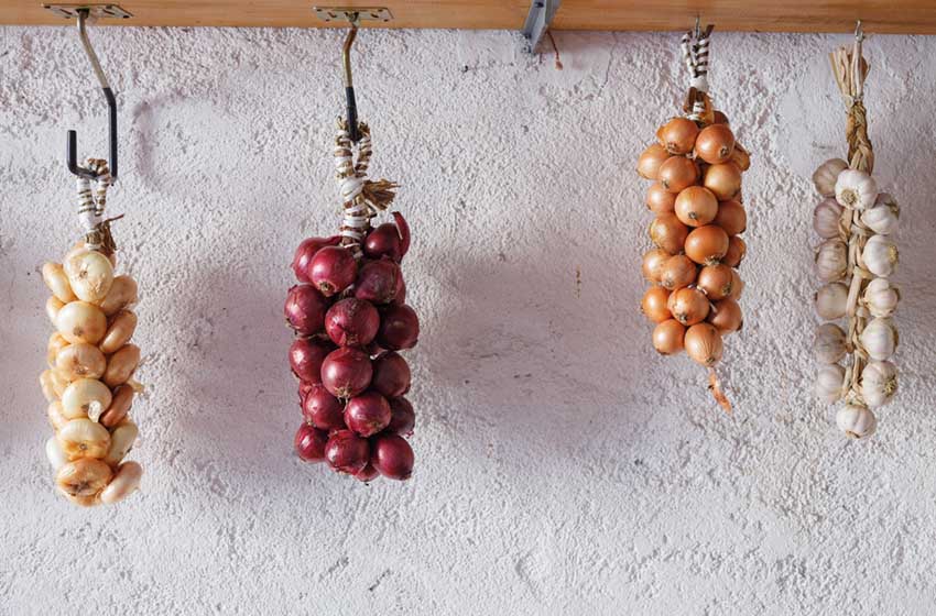 Umbria-Cipolle di Cannara