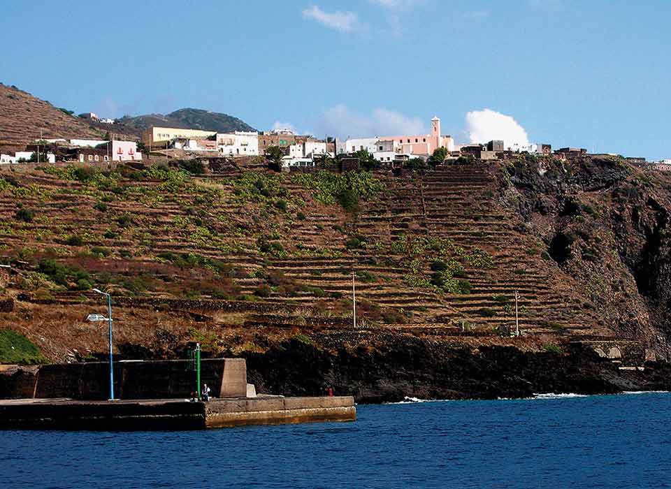 Le terrazze coltivate che da Scauri scendono ripide verso il mare