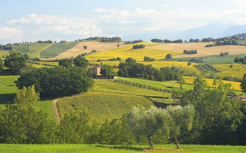 20211029-Marche-Mogliano-Paesaggio-collinare