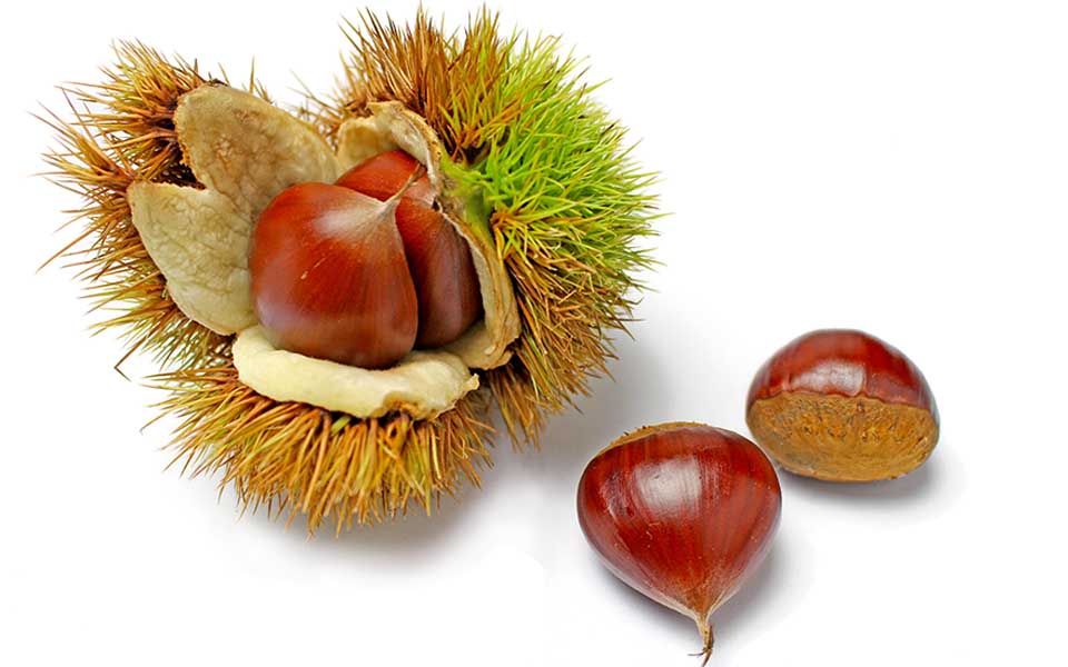 20211102-Lazio-Valle-del-Turano-Castagne