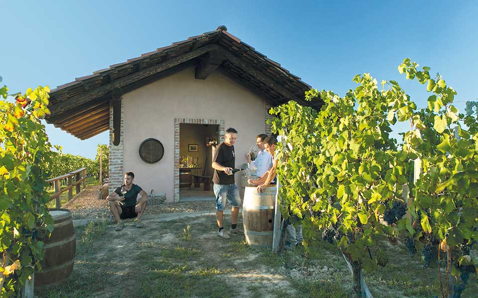 20211104-Piemonte-Roero-Cantina-Maurizio-Ponchione-Govone