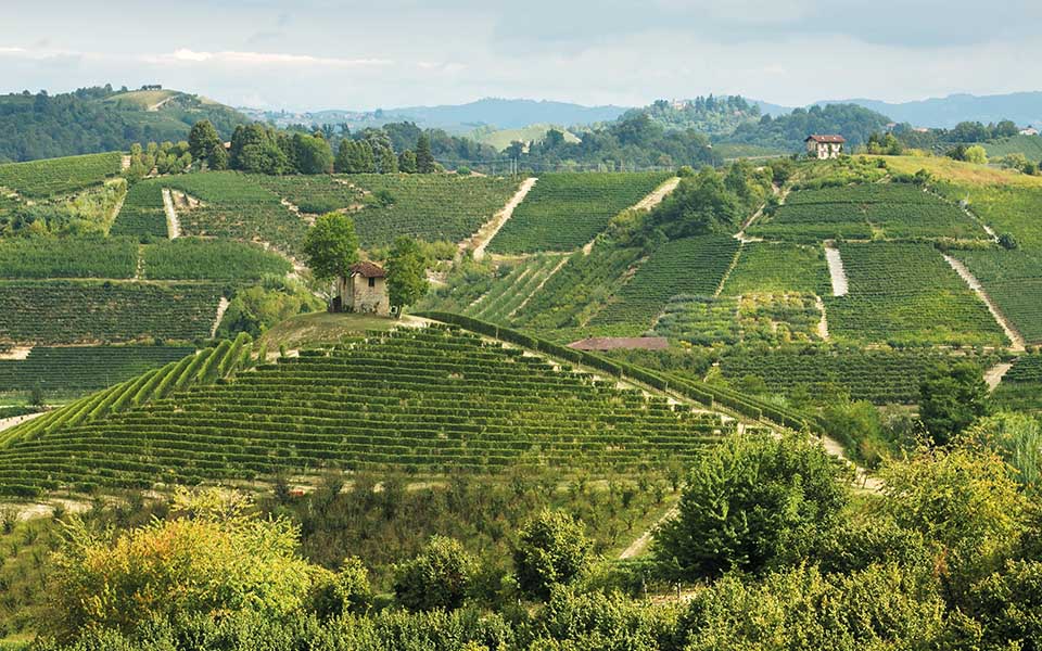 20211104-Piemonte-Roero-Vigneti