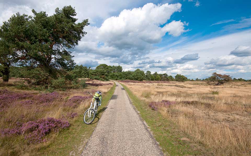 20220128_De-Hoge-Veluwe-National-Park_Pista-cicalbile-allinterno-del-parco