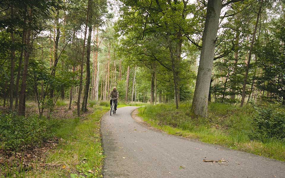 20220128_De-Hoge-Veluwe-National-Park_in-bici-allinterno-del-parco