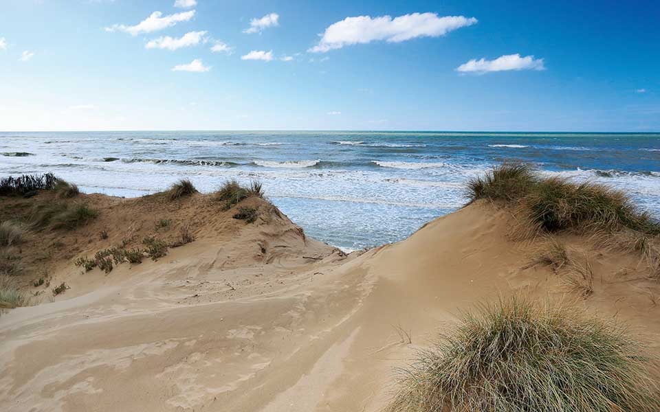 20220208_Dune costiere foce di Fiume Morto Vecchio