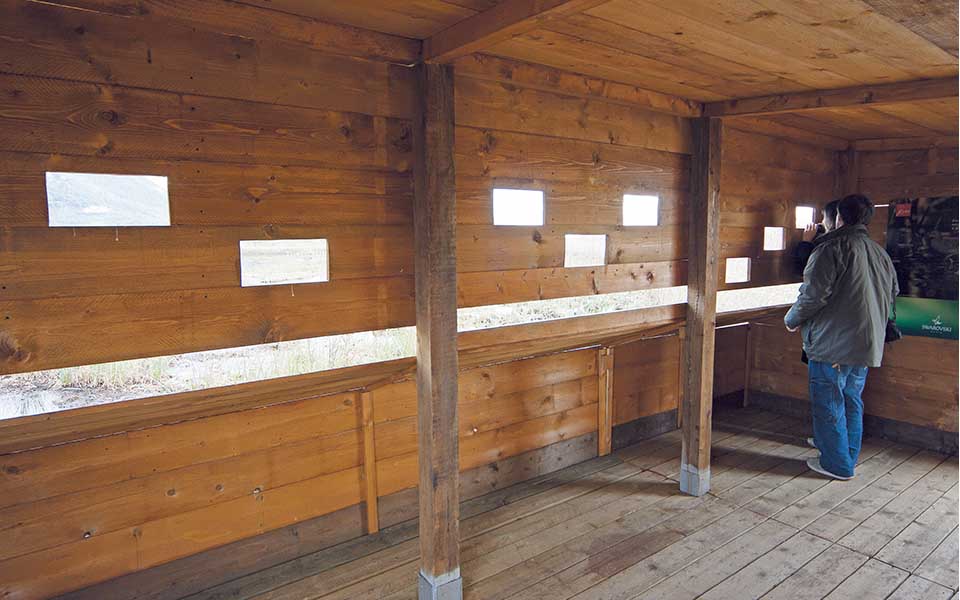 20220208_osservatorio-oasi-Lipu-del-Chiarone