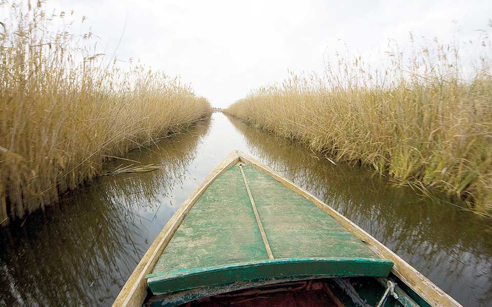 20220208_visita-in-barchino-al-padule-di-Massaciuccoli-1