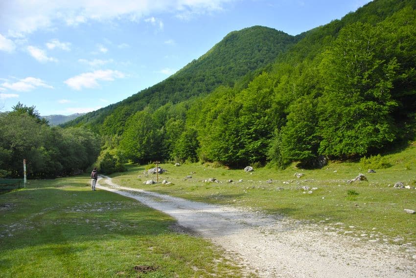 Abruzzo-Parco Nazionale d'Abruzzo Lazio e Molise-Val-Fondillo-inizio delsentiero F2