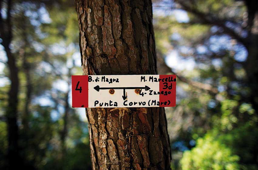 Indicazioni Punta Corvo