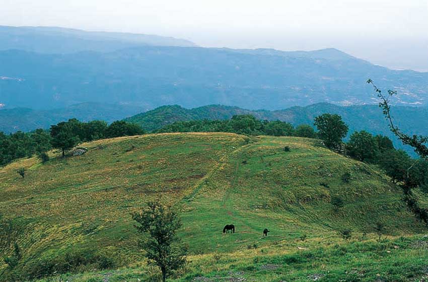 Prati del Faudo. Liguria