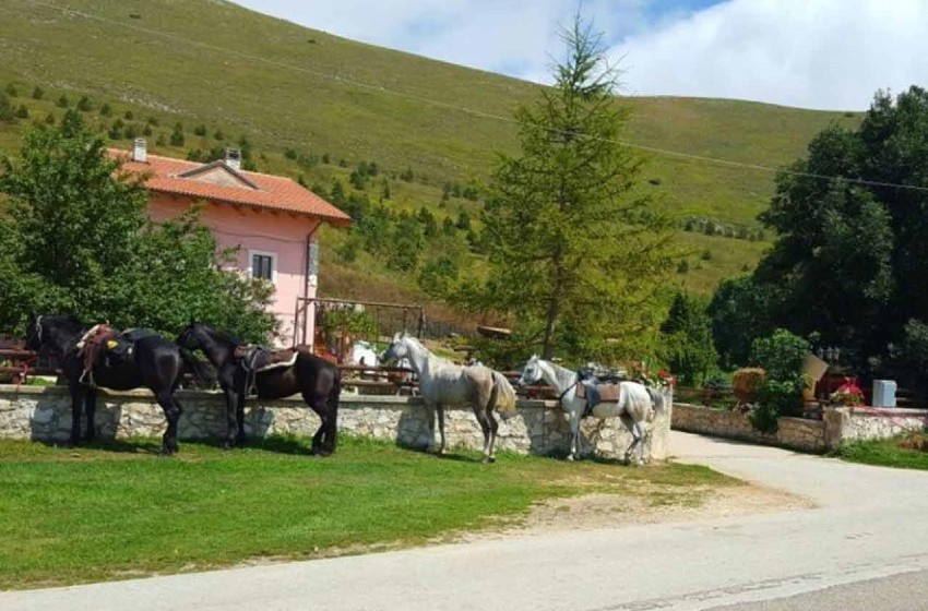 Agriturismo La Giuliana-Abruzzo-fattoria didattica-cavalli