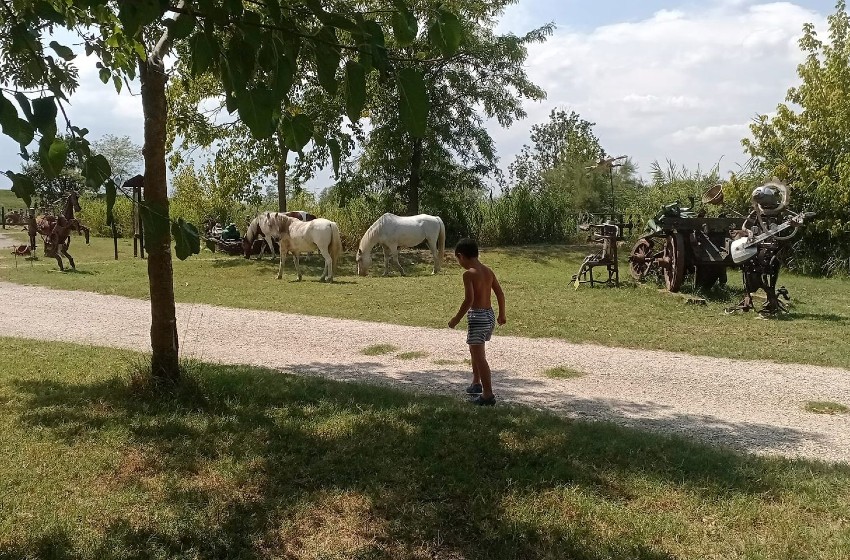 Agriturismo Prato Pozzo-Emilia Romagna-bambino-cavalli