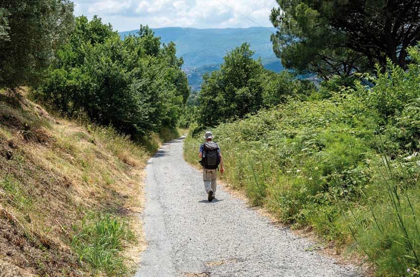 Calabria coast to coast-discesa-Petrizzi-escursionista-strada asfaltata-campagna