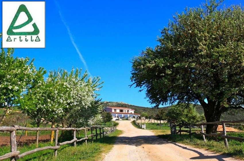 Agriturismi-Sardegna-Ertila-Bitti-campagna-strada-ingresso