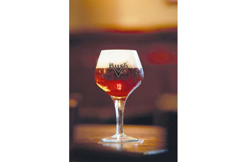 Belgio-Vallonia-Pipaix-Brasserie Dubuisson-Piccola spina-Arnaud Siquet