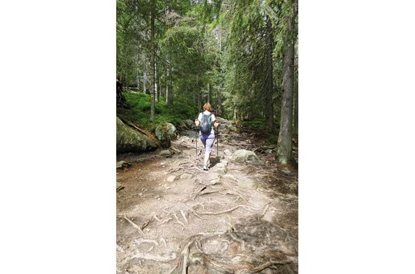 Slovacchia, in cammino verso lo Strbske Pleso
