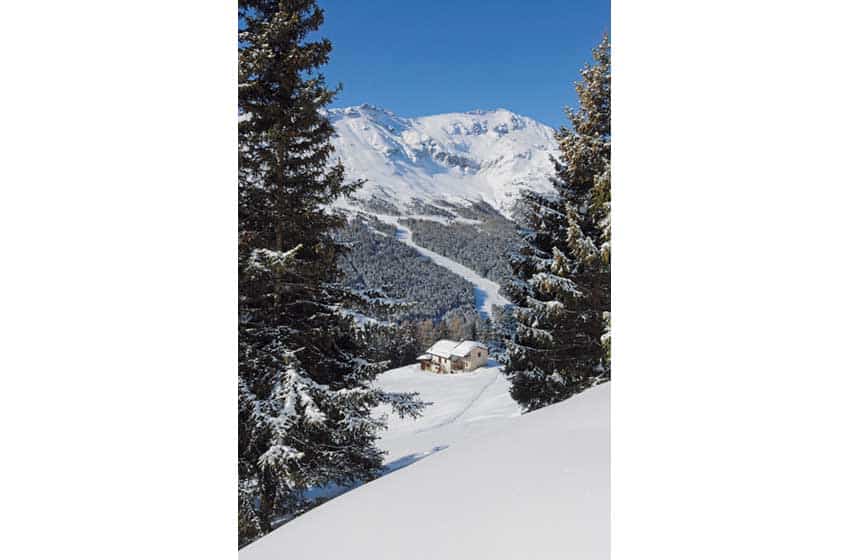 Lombardia-Valtellina-Valfurva-Sentiero per Ables-neve-segnaletica-foto di Alessandro De Rossi