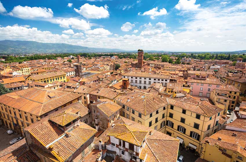 Toscana-Lucca-vista grandangolare della città con l'albero sulla torre (Torre Guinigi)-AdobeStock_546555847