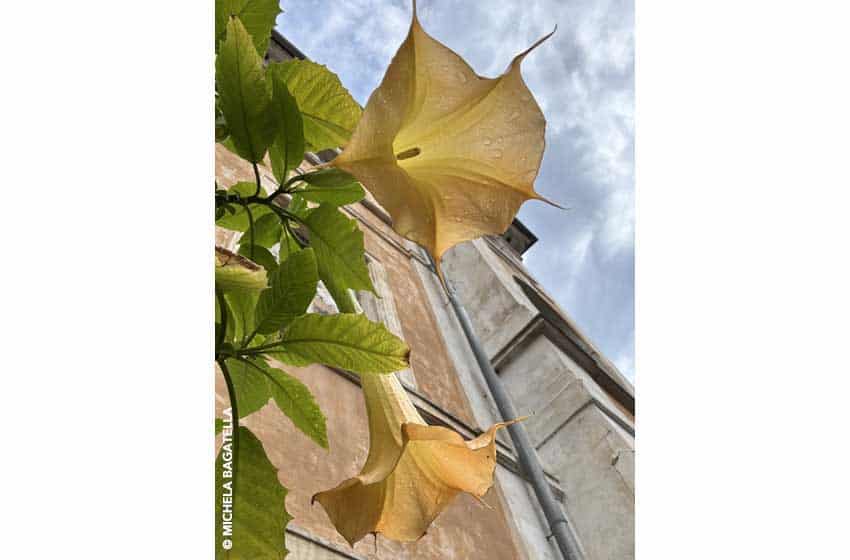 Il castello di Duchcov